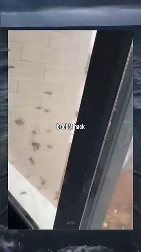 hacker #memes #fyp #viral