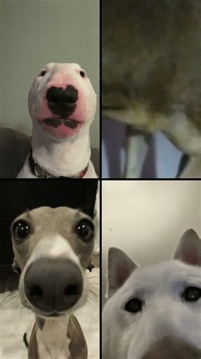 CAO 1: Hello people of God, welcome to another recording Cao2: TURN OFF-