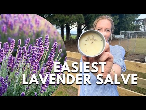 AMAZING Lavender Salve: 3 Ingredients Only: Smells Lovely.