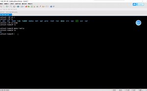 Linux常用命令2_文件结构和文件操作