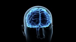 Brain Head Mind Image Background Stock Footage Video (100% Royalty-free) 1030696070 | Shutterstock