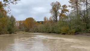 5K views · 121 reactions | Who was Billy Frank Jr.? He was a strong...