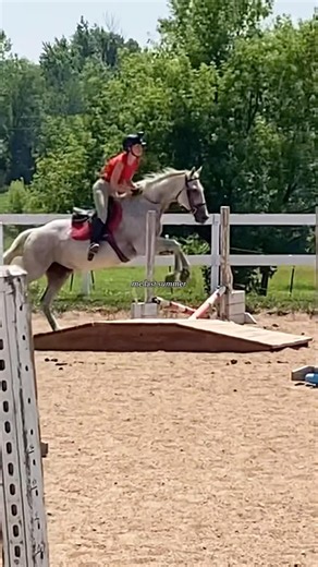 I miss the confidence I used to have😢💔 #horse #equestrianjourney #equestrian #horseriding #fypシ