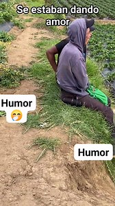 Dos enamorados dandose amor😂😂 #viralreelsシ #iralreelsシ | De todo un poco Guatemala.