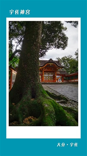⛩️【宇佐神宮・後編】・大分県宇佐市南宇佐#大分 #宇佐 #世界農業遺産で写そう2026夏 #豊かな自然 #人々の営み