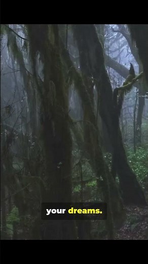 Top 5 Nature Mysteries That Defy Science! 🤯