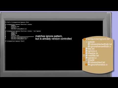 Subversion Ignore List - Part 1