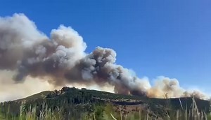 Canterbury Weather Updates on Reels