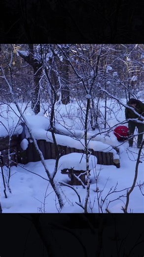 Bushcraft Dugout Survival: Buried in Snow