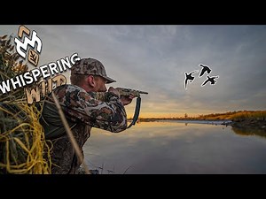 South Jersey Tidal Water Duck Hunt