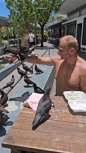 I am the bird whisperer! Hahaha at least I didn't get pooped on this time | Nathan Kirby