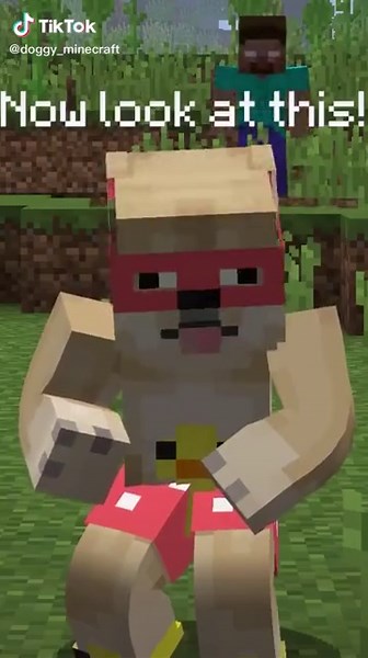 Epic Minecraft Memes Compilation