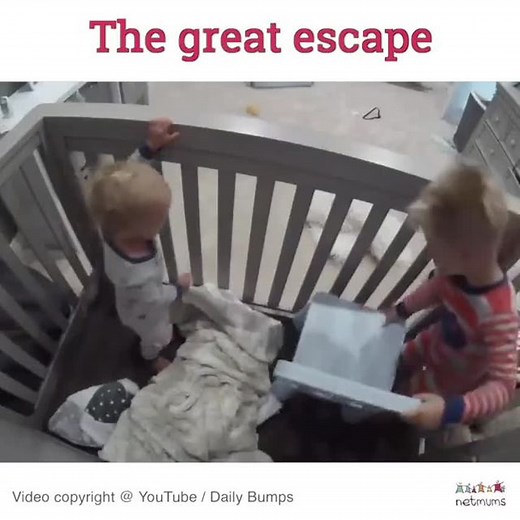 Have you washed a lunch box in the washing machine?