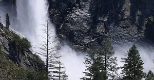 In Yosemite, falling tree branches kill a young hiker in ‘freak accident’