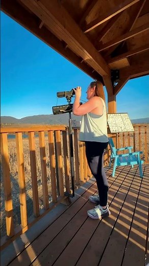 A must-visit birdwatching spot in BC 👀