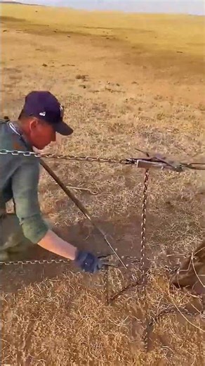 Installing Wire Fence