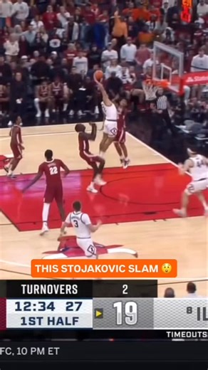 Big Ten Men’s Basketball on Instagram: "@andrejstojakovic took flight ✈️"