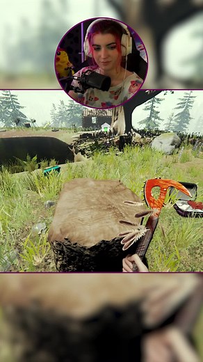 Exploration des fausses bonnes idées avec Baghera sur Twitch