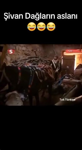 sungurlar dizisi49 (@sungurlardizisi49) adlı kullanıcının orijinal ses - sungurlar dizisi49 ile oluşturduğu videoları