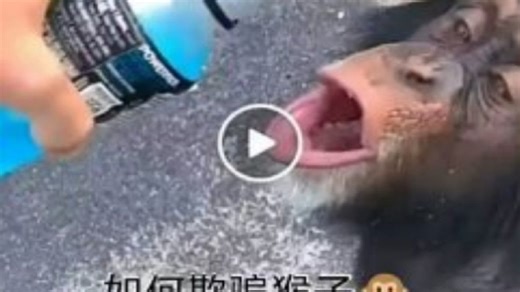 使用clickbot 键盘宏 wurst 鼠标手势戏耍猴子