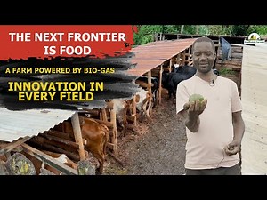 Mwencha Farm: Where Dairy, Apples & Biogas Drive Profitability