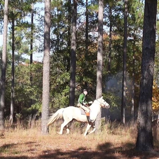 British Dragoons Charge the Field… Battle of Camden…