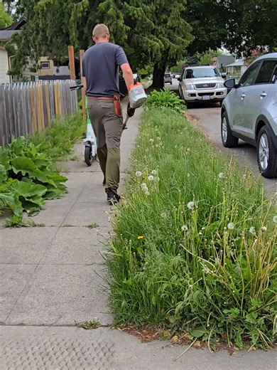 Expert Lawn Care Techniques for a Pristine Yard