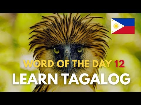 TAGALOG WORD OF THE DAY🤔💭DISCOVER THE BEAUTY OF THE FILIPINO LANGUAGE VIDEO 12