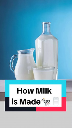 How Things Are Made on TikTok