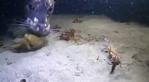 46K views · 1.1K reactions | Money money money | Spongebob memes | Facebook