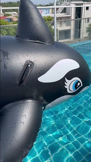 Floating Orca pool toy! #shorts