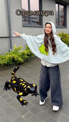 Who lives in the forest🌲in the Carpathians ⛰️ #ukraine #eurovika