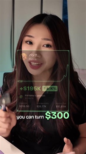 Memecoins explanation, which meme coin do you think will pump again ? 🤔