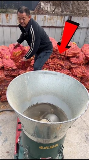 Machine to remove husk from corn grains 😱 Corn Thresher Machine #shorts #video