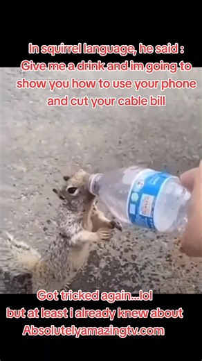 🚨 IT’S OFFICIAL 🚨 Absolutely Amazing TV 2.0 is LIVE. This isn’t an update. This is the 2026 upgrade — and it shatters everything else on the market. ⚡ Lightning-speed servers 🚫 Zero buffering. Zero lag. 🌍 Global access — every country, every time zone 📺 30,000 channels • PPV • Live sports • New releases 💰 Same price. No increase. Most platforms are still trying to catch up. We already upgraded the future. 🟢 FREE 24-HOUR ALL-ACCESS TRIAL (Normally $5 — on us) No limits. No watered-down ver