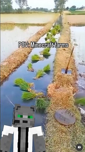 Royal Automatic Farm 🌾