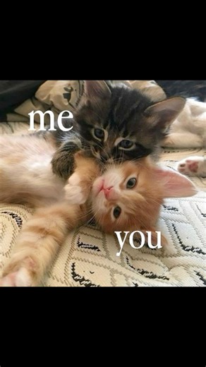 snoopy ♡ on Instagram: "send this to them <3 follow l0ver.1y for more relatable contents! . . . . . . . . . . . . . . #relationshipgoals #connections #love #couple #forever #soulmates #explorepage #viral #couplegoals #happycouple #relatable #partner"