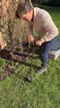 Four Steps to Thicker Lawn