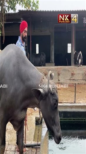 ਜਿੰਨੇ ਕਮਾਏ ਸੀ ਉਸ ਤੋਂ ਦੁੱਗਣੇ ਮੇਰੇ ਉੱਪਰ ਹੀ ਲੱਗ ਗਏ