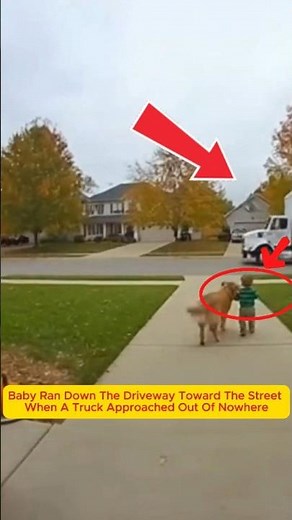 The Greatest Save: Dog Saves the Baby #dogshorts #baby