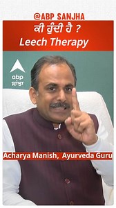 What is leech therapy?