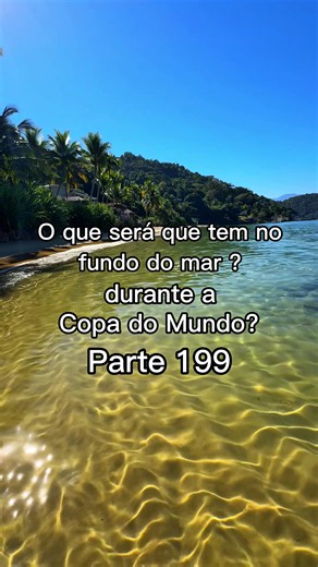 O que encontrei no fundo do mar? Curiosidades da praia