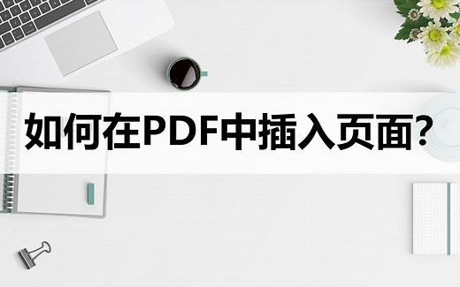 如何在PDF中插入页面？教你高效实用的方法