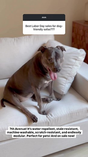 7th Avenue sofas are dog-tested and approved and on sale! 🐾 Shop our stain-resistant, water-repellent, PFAS-free sofas during our Labor Day sale and get 10% off sitewide! Use code LABORDAY at checkout. 🔗 in bio. #7thavenueco #furniture #homefurnishing #homedecor #homeimprovement #homefurniture #sofa