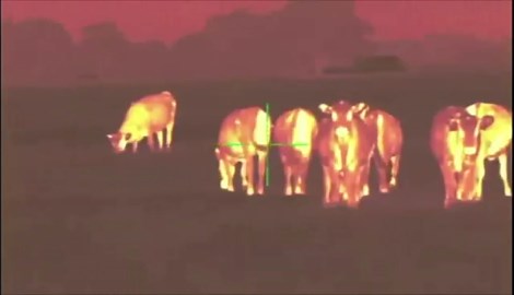 Amazon.com: GOYOJO Thermal Scope Monocular 384X288 Refresh Rate 50 Hz, 25 mm Lens Scope with Rail Mount, 6 Imaging Modes, 1X - 4X Optical Zoom for Night Hunting Outdoor Camping Travel 1200ft Viewing Range : Sports & Outdoors