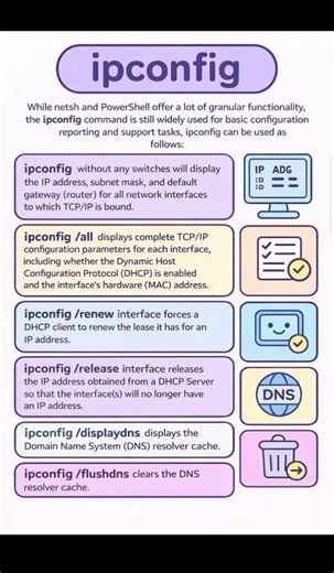 Master the ipconfig Command Like a Pro! #shorts #computernetworking #techtips