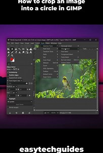 How to crop an image into a circle in GIMP