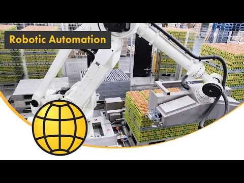 Robotic Automation in Egg Processing | Fully Automated Egg Factory Solutions | SANOVO