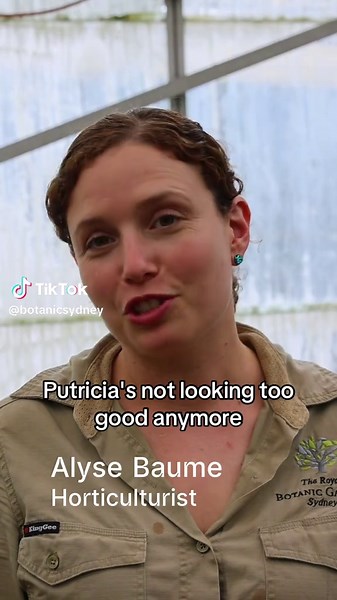 Explore Pollen Under the Microscope with Putricia