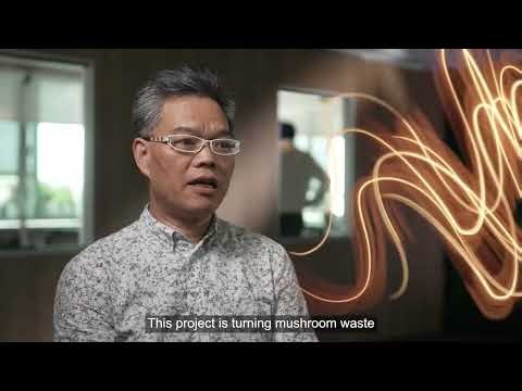 ReHarvest Board by Agricycle Innovation Ltd